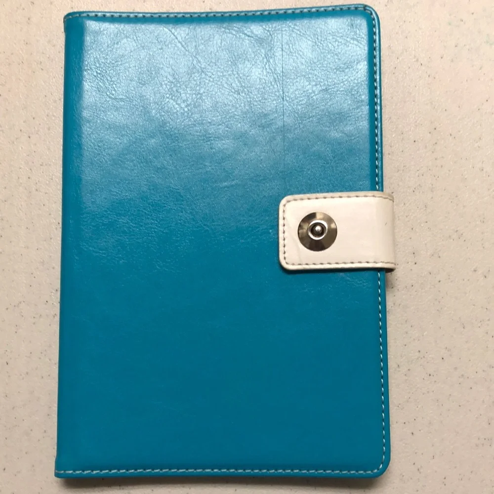 Mini IPad Case: Teal